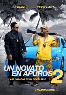 Un novato en apuros 2