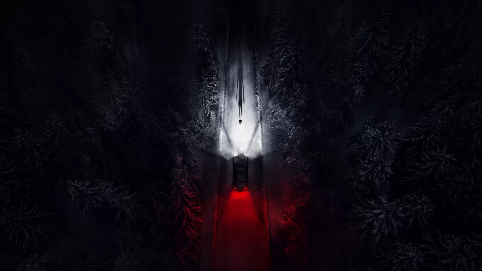 Silueta iluminada al fondo de un bosque oscuro mientras una luz roja se refleja en el sendero